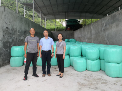 市畜牧总站带队南方草地项目指导工作圆满完成，助力垫丰石畜牧饲料业升级