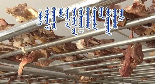 草原深处的财富密码 阿巴嘎旗合作社的牛羊肉增值之路
