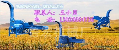 青贮与秸秆加工新利器 喷青贮揉搓机与大型铡草机的应用与饲料市场展望