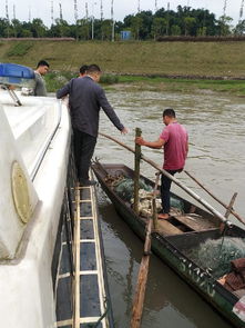 南溪区开展国庆节前渔船安全生产专项检查，确保畜牧渔业饲料销售与渔业生产安全