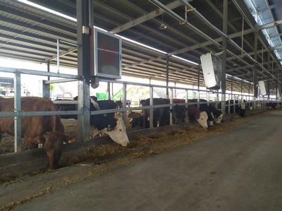 唐河县 产业赋能乡村振兴 畜牧渔业饲料销售新篇章