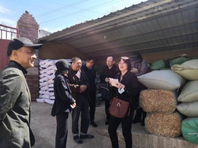 全国畜牧总站深入寻甸开展调研，共绘现代畜牧业与饲料销售新蓝图